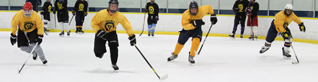 What’s New in HockeyU 2019!